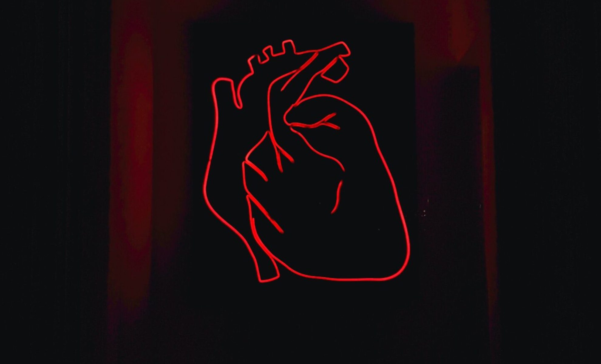 alexandru-acea-RQgKM1h2agA-unsplash