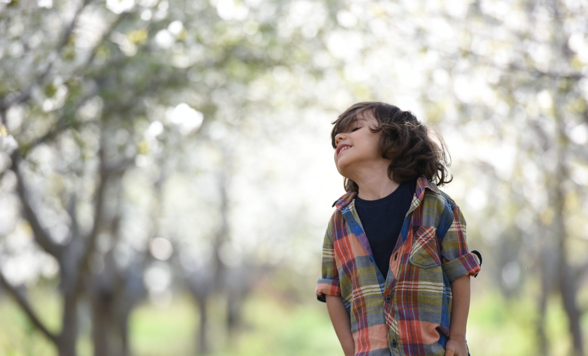 pexels-jonas-mohamadi-1416741