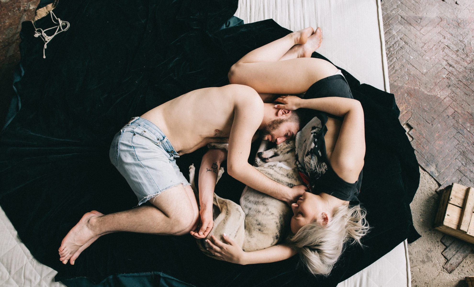 pexels-leeloo-thefirst-4560155