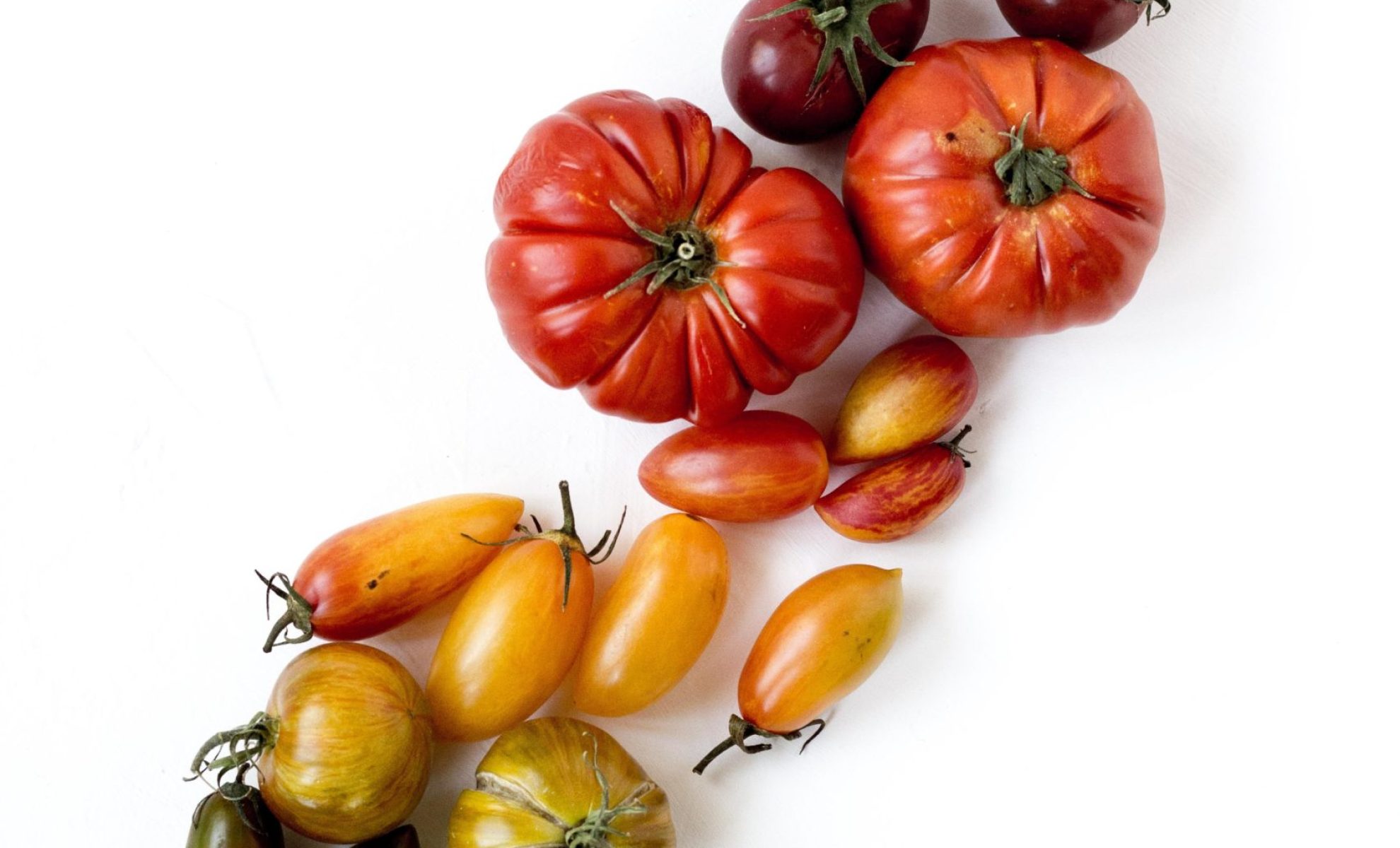 rezel-apacionado-MZfS19xrrz0-unsplash